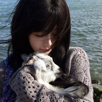热血校花 海报