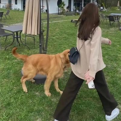 混乱 海报